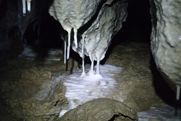 柱を目指しています