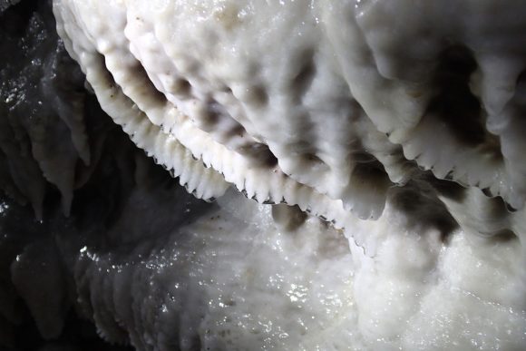 砂糖菓子のよう