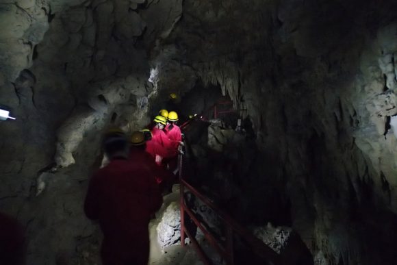 コウモリがいるエリア