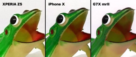 カエルのアップ