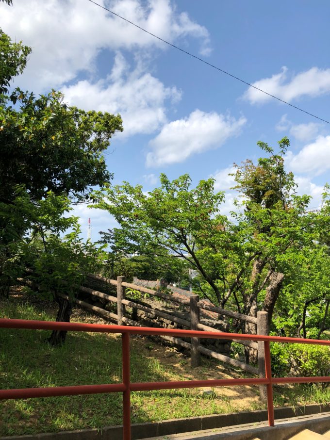 iPhoneX カメラ等倍その2