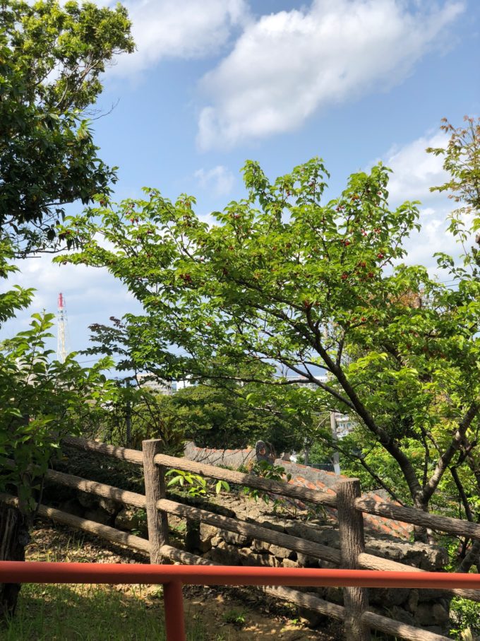 iPhoneX カメラ2倍その2