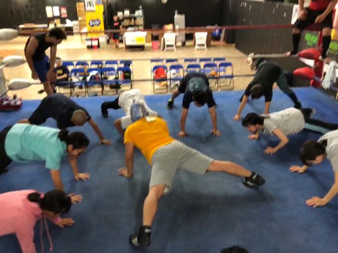 ライオン腕立て伏せ