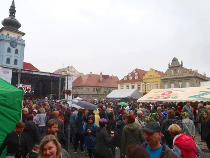 ホップの収穫祭 ドチェスナー