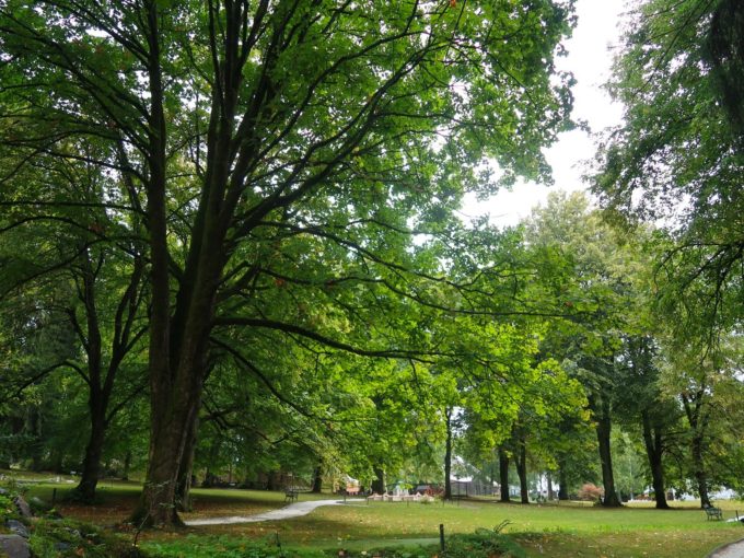 ボヘミニアム内