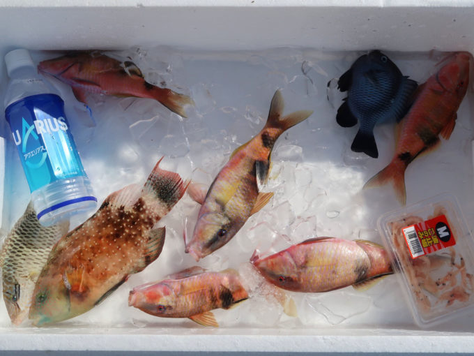 30分弱でこの感じ