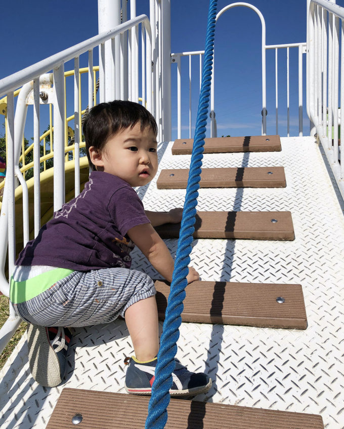 一歳児でも遊べます。