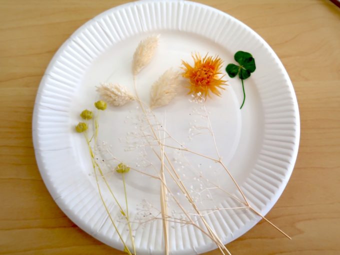 四葉のクローバー