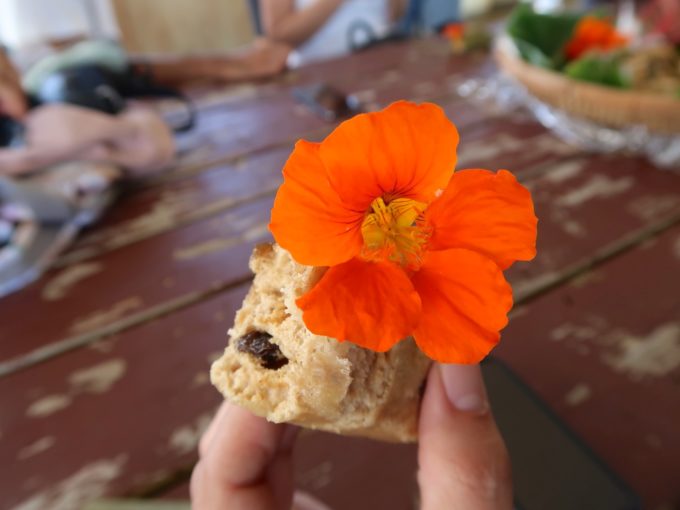 花も食べられます
