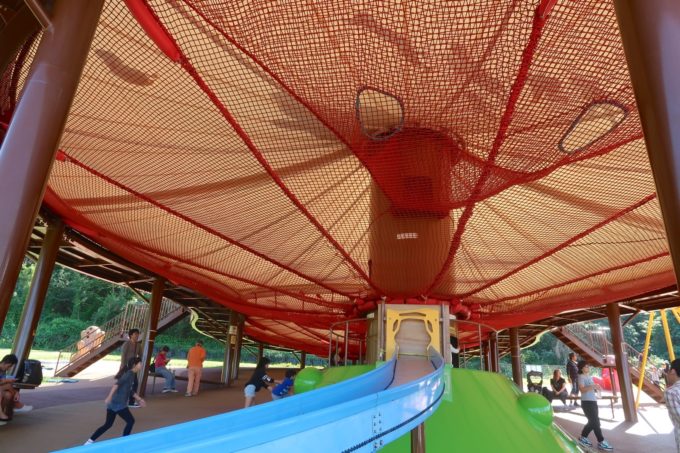 下から見ると…