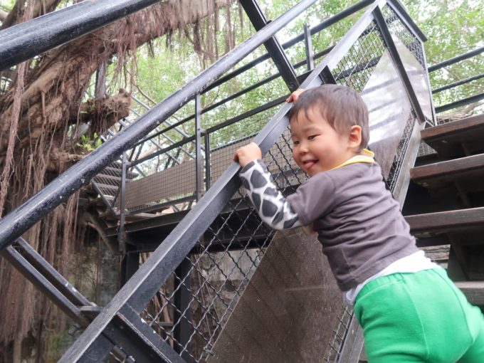 お子サマーも楽しむ