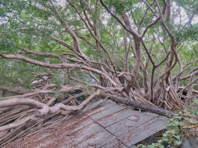 ラピュタ的風景