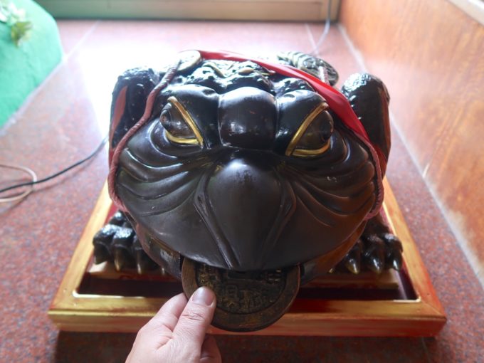 お金を加えたガマガエル