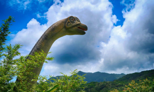 沖縄の亜熱帯林「DINO 恐竜 PARK やんばる亜熱帯の森」に行ってきた。