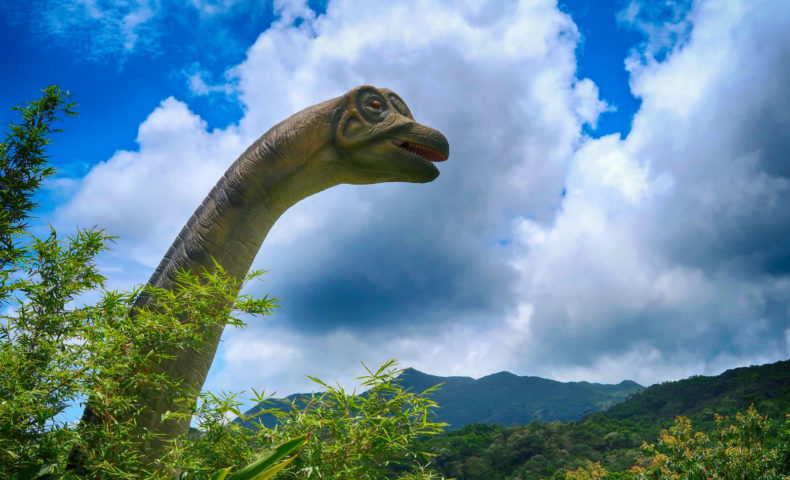 沖縄の亜熱帯林 Dino 恐竜 Park やんばる亜熱帯の森 に行ってきた 乾杯おじさん