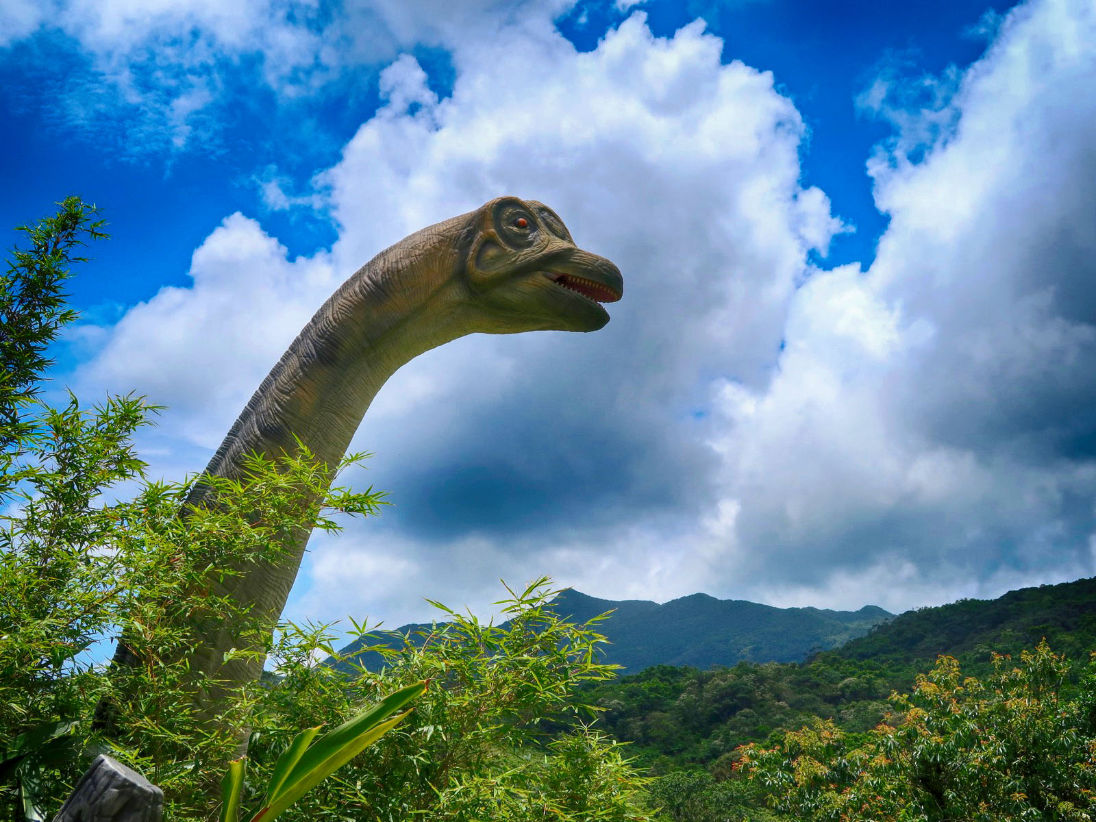 沖縄の亜熱帯林 Dino 恐竜 Park やんばる亜熱帯の森 に行ってきた 乾杯おじさん