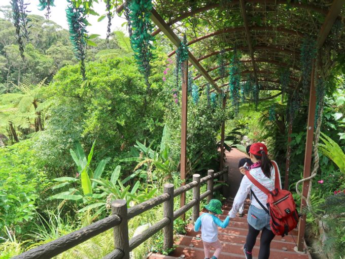 下っていく道には…