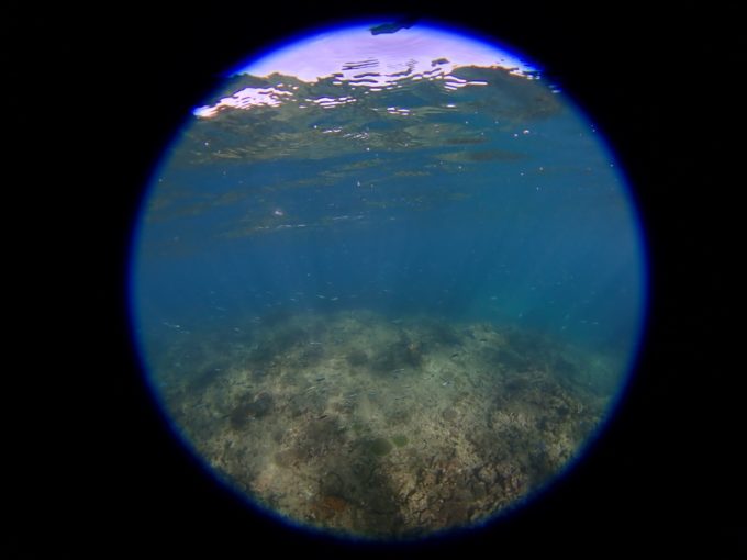 水面から水底まで