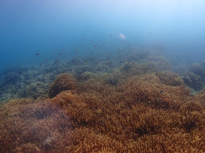 広さがわかるかな？