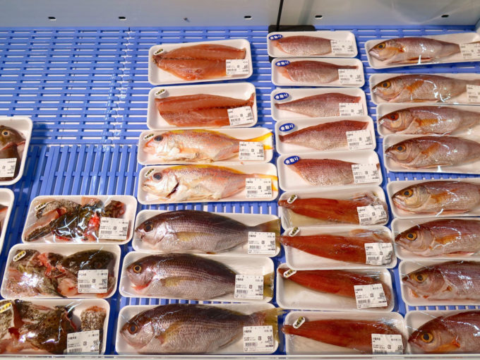 ビタロー、シチューマチなどなど