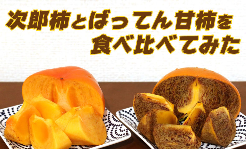 次郎柿とばってん甘柿を食べ比べてみた 乾杯おじさん