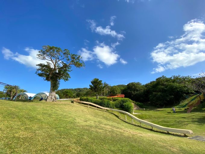 50メートルくらいあるんじゃ…