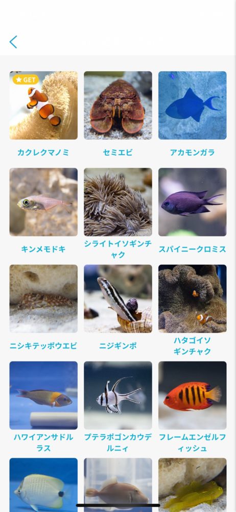 DMMかりゆし水族館 アプリ2