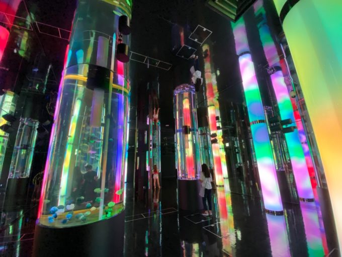 クラゲの展示室