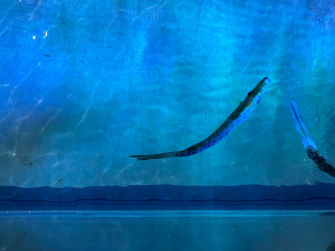 思ってたんとちがう