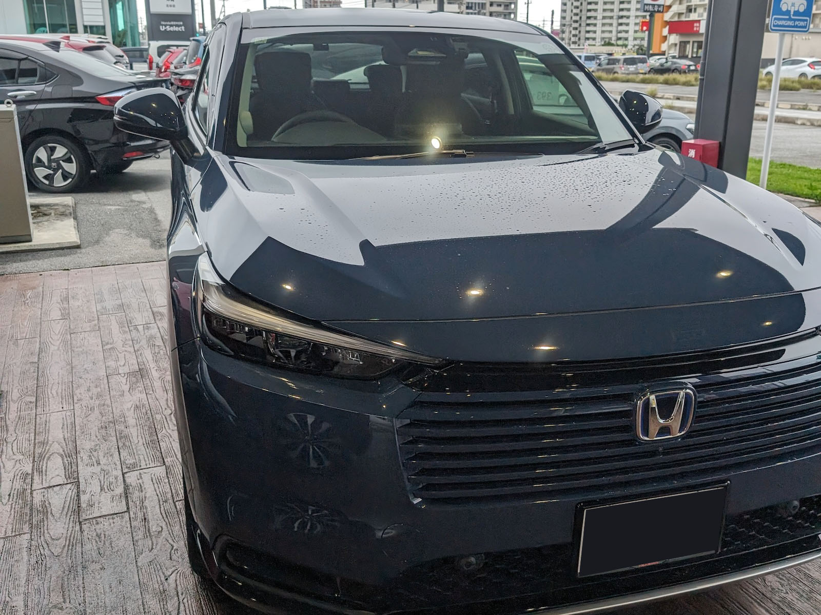 シーベッドブルーパール