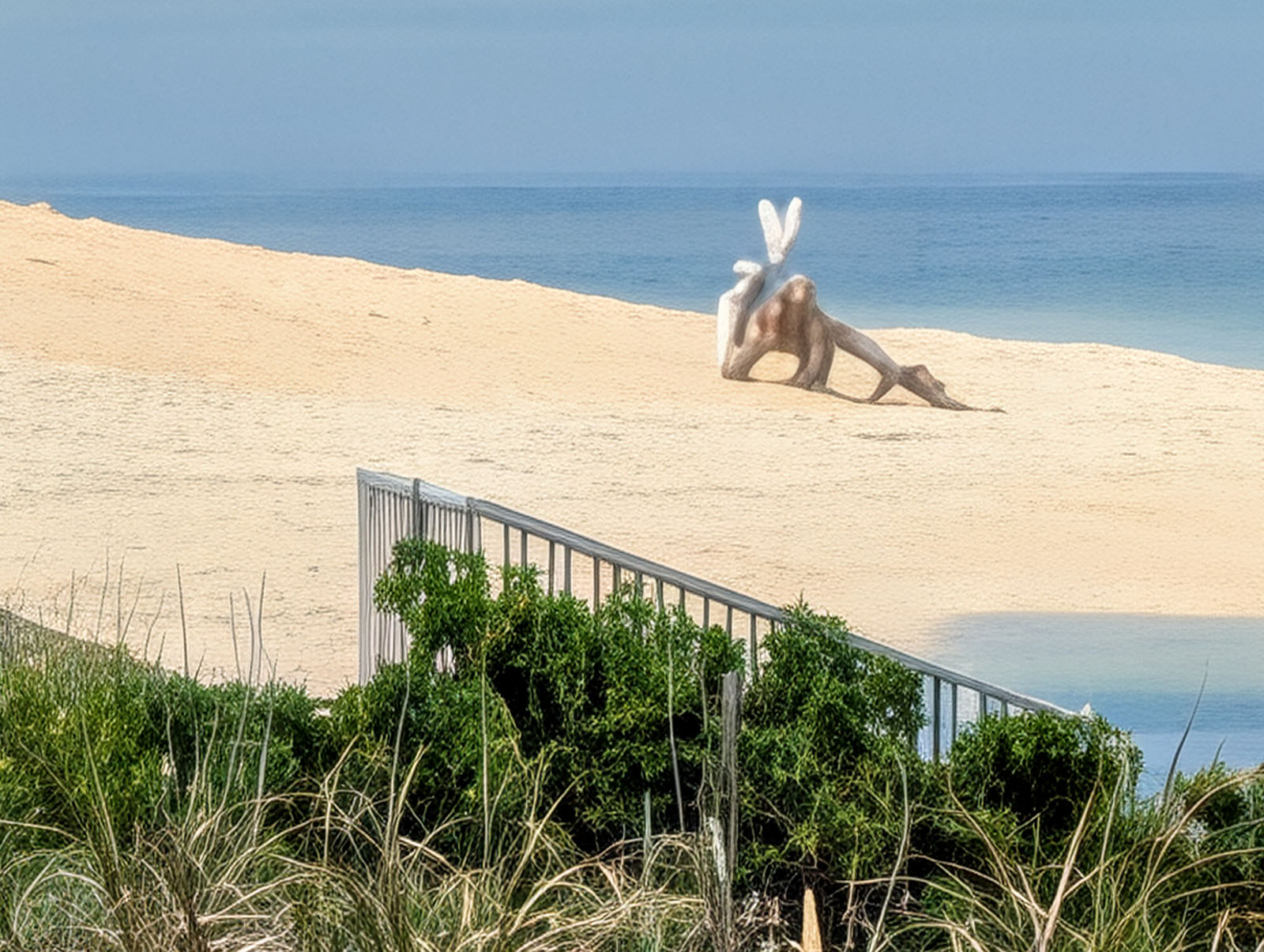 超解像ズーム Pro 100倍 で撮った謎の物体