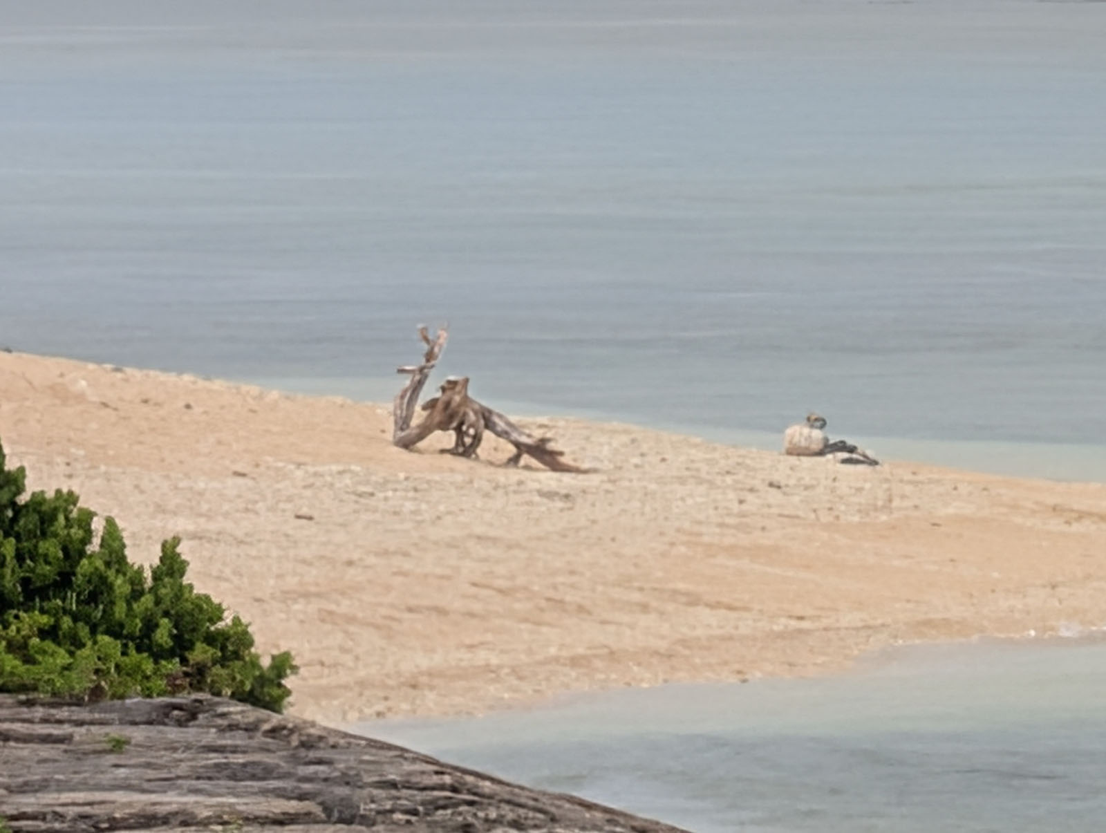ちょっと寄って20倍
